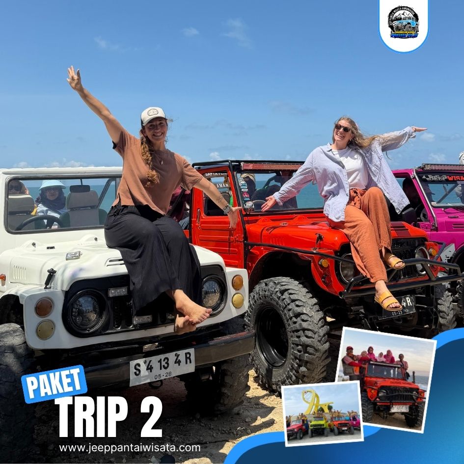 TRIP 2