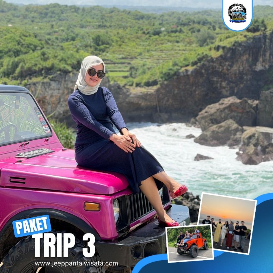 TRIP 3